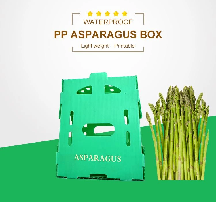  Asparagus packaging box