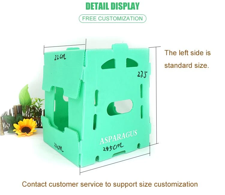COROPLAST packaging box